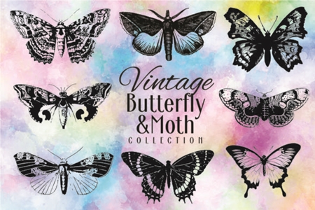 FreePsdVn.com 1908538 VECTOR vintage butterfly collection 1715315 cover