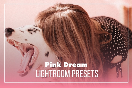 FreePsdVn.com 1909459 LIGHTROOM pink dream lightroom presets 4048954 cover