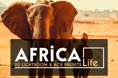 FreePsdVn.com 1910017 LIGHTROOM 20 africa life lightroom acr preset 4118145 cover