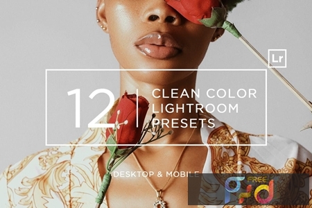 FreePsdVn.com 1910207 LIGHTROOM 12 clean color lightroom presets mobile 9ktbp6z