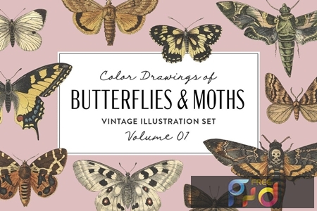 FreePsdVn.com 1910284 STOCK butterflies moths vintage graphics vol1 c5htpm7