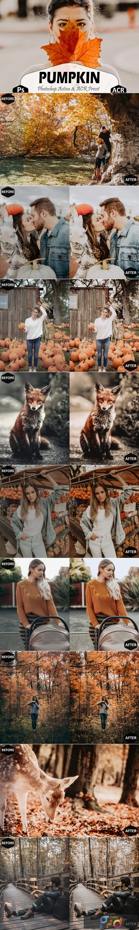 Pumpkin Photoshop Actions and ACR Preset