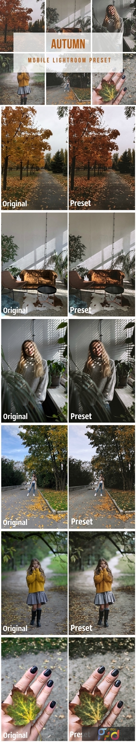 FreePsdVn.com 1911155 LIGHTROOM lightroom mobile autumn preset 4190986