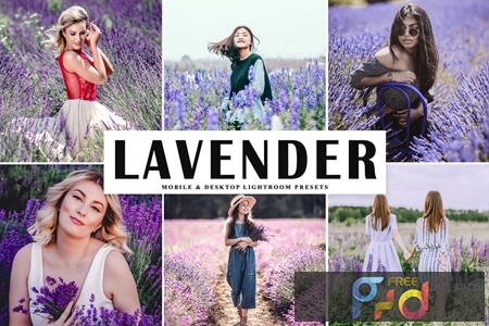 Lavender Mobile & Desktop Lightroom Presets KAABXQD 1
