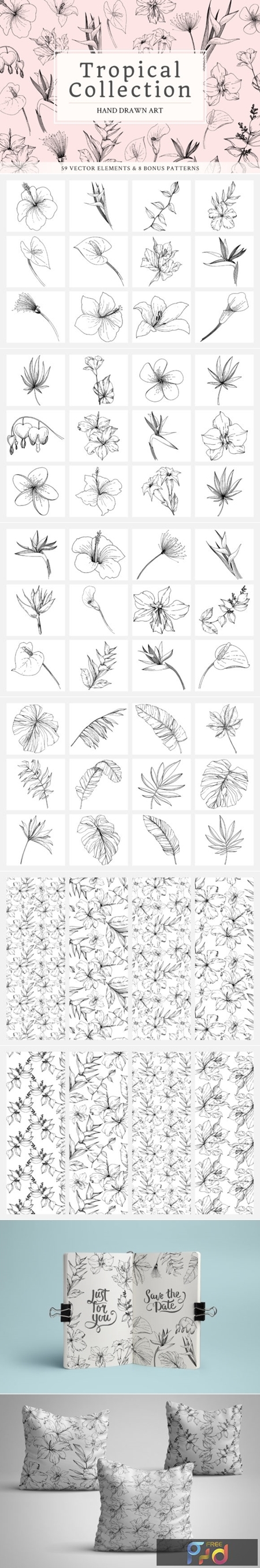 Vector - Tropical Leaves and Flowers 2011317 1