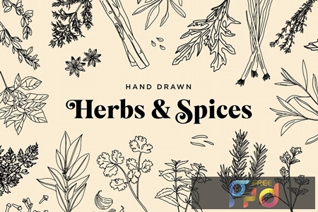 FreePsdVn.com 1912195 VECTOR hand drawn herbs spices 39fjev7