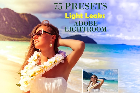 FreePsdVn.com 1912259 LIGHTROOM light leaks adobe lightroom presets 4345150 cover