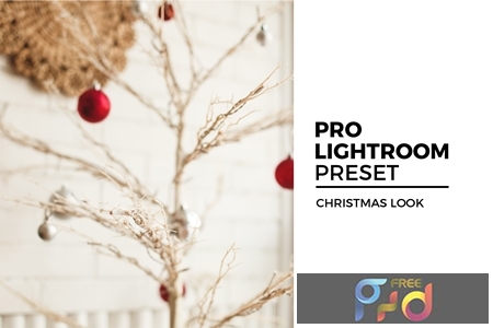 Christmas Look Lightroom Preset 4395308 1