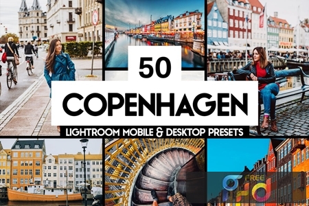 50 Copenhagen Lightroom Presets and LUTs 9AR3C53 1