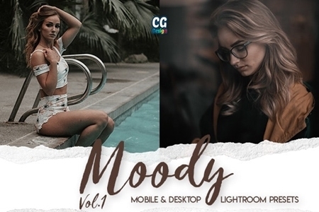 FreePsdVn.com 2001371 LIGHTROOM moody vol 1 15 premium lightroom presets 25545408 cover