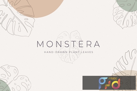 Monstera Hand-Drawn Art Plant KPE9ZCJ 1