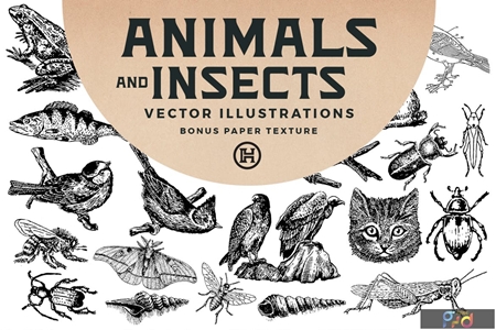 Animals and Insects Vectors N9D78JN 1