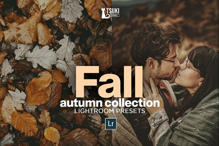 FreePsdVn.com 2003263 LIGHTROOM fall autumn collection lr presets 4628493 cover