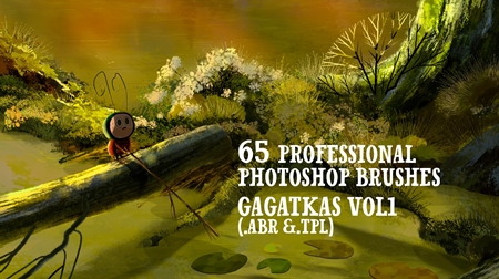 FreePsdVn.com 2003507 PHOTOSHOP gagatkas vol2 pro photoshop brushes 4571338 cover