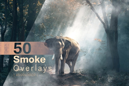 FreePsdVn.com 2003547 PHOTOSHOP 50 smoke overlays 650218 cover