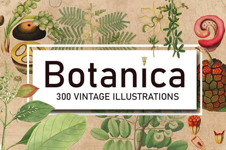 FreePsdVn.com 2004371 STOCK 300 vintage botanical illustrations 4247680 cover
