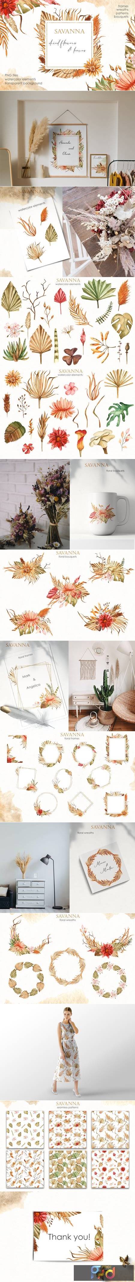 FreePsdVn.com 2005280 STOCK savanna dried flowers watercolor 4846614