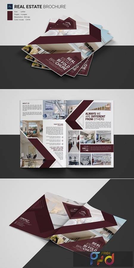 Real Estate Brochure