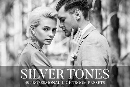FreePsdVn.com 2005529 PRESET silver tones presets lightroom 4802232 cover