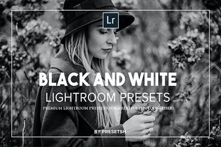 FreePsdVn.com 2007381 PRESET black white lightroom presets 27483987 cover