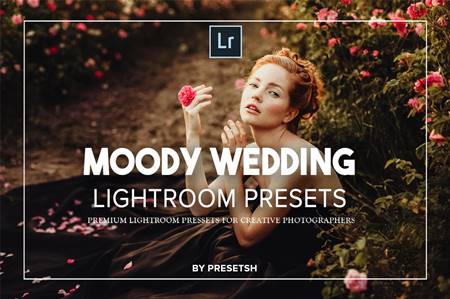 FreePsdVn.com 2008131 PRESET moody wedding lightroom presets 5125346 cover