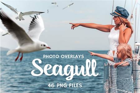 FreePsdVn.com 2008167 ACTION 46 seagull photo overlays 5224595 cover
