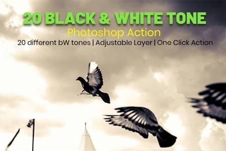 FreePsdVn.com 2009102 ACTION 20 black white tone photoshop action 26960979 cover