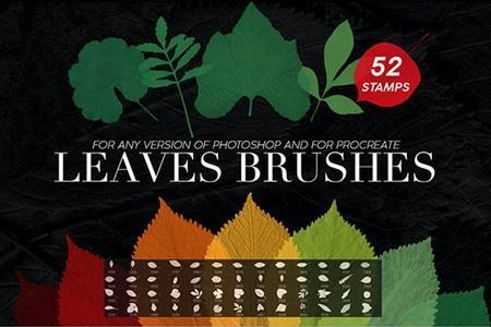 FreePsdVn.com 2009240 ACTION 52 leaves photoshop stamp brushes 27969587 cover