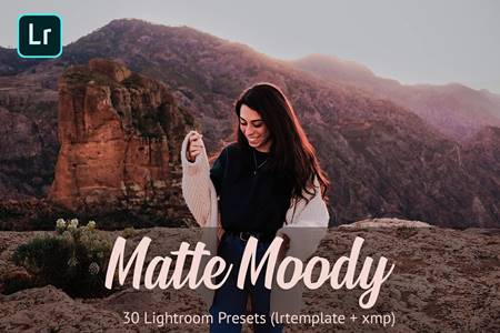 Freepsdvn.com 2010363 Preset Matte Moody Presets Lightroom 4811215 Cover