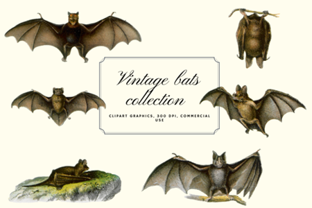 FreePsdVn.com 2010410 VECTOR vintage bats collection creepy graphics 5919304 cover