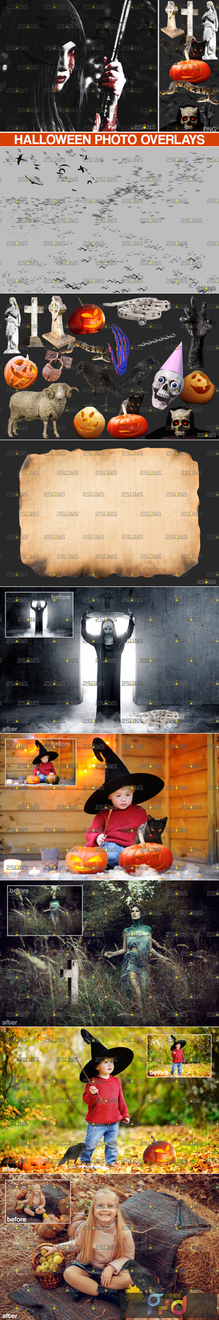 FreePsdVn.com 2010440 STOCK halloween clipart halloween overlays 5542443