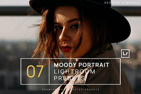 FreePsdVn.com 2012055 PRESET 7 moody portrait lightroom presets mobile 4vcl7cq cover