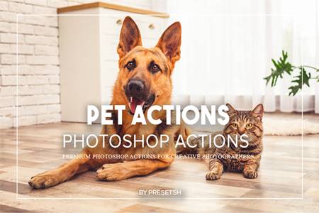 FreePsdVn.com 2012083 ACTION pets photoshop actions 935dsld cover