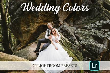 FreePsdVn.com 2012381 PRESET lightroom presets wedding colors 4821653 cover