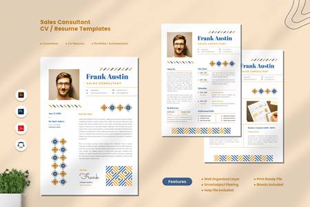 FreePsdVn.com 2012408 TEMPLATE sales consultant cv resume fhuly4j cover