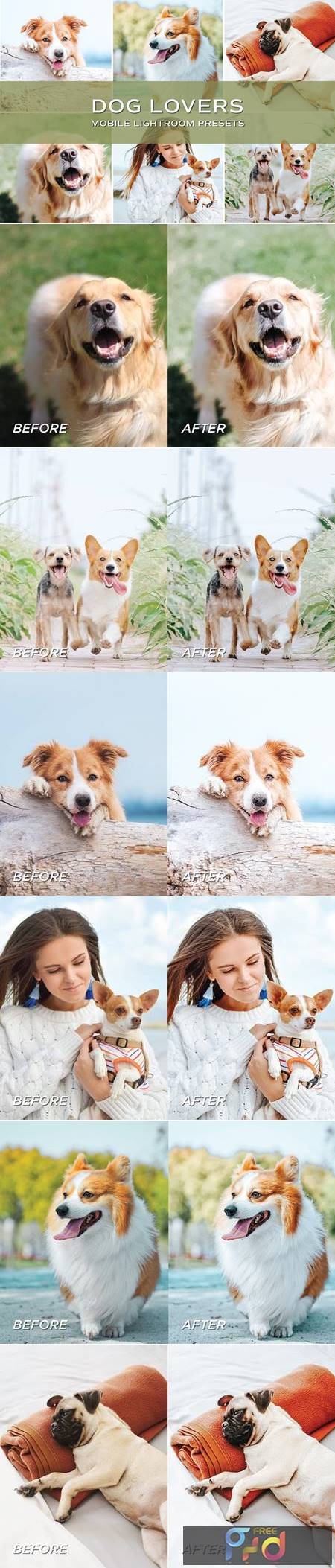 Dog Blogger Lightroom Presets