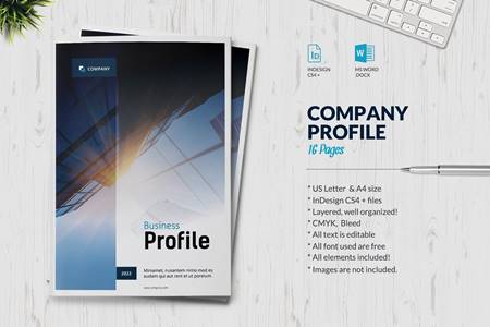 FreePsdVn.com 2101050 TEMPLATE business brochure company profile 5451449 cover