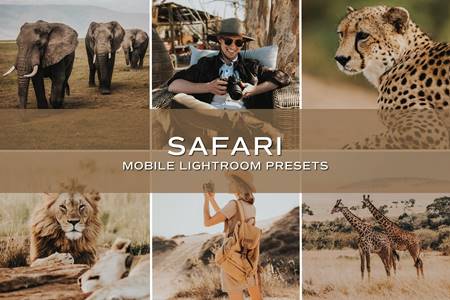 make safari light mode