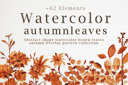 Freepsdvn.com 2101460 Stock Abstract Shape Watercolor Brown Leaves 7058359 Cover