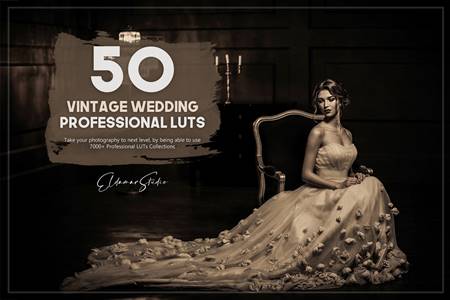 FreePsdVn.com 2102073 PRESET 50 vintage wedding luts pack 5754956 cover