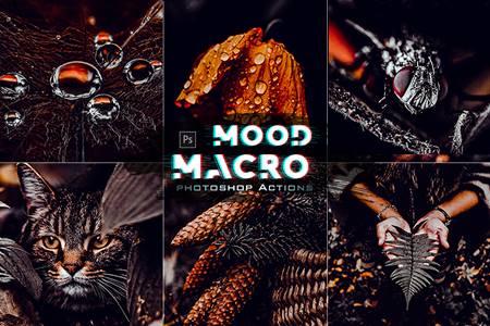 Moody Macro Photoshop Action 30124025
