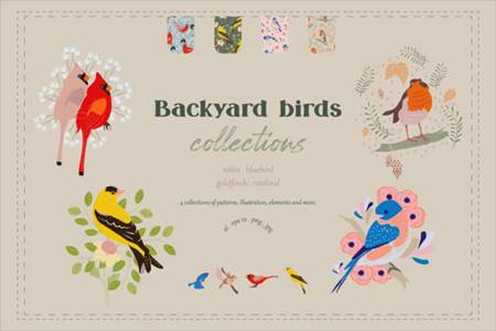 FreePsdVn.com 2103204 VECTOR backyard birds collections 8691734 cover