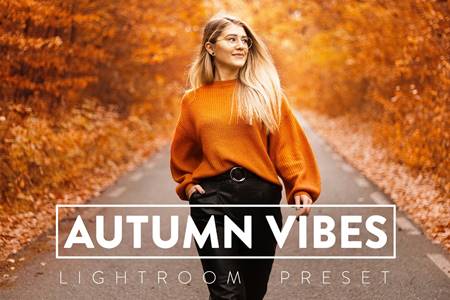 FreePsdVn.com 2103327 PRESET 10 autumn vibes lightroom presets ts8l9zh cover
