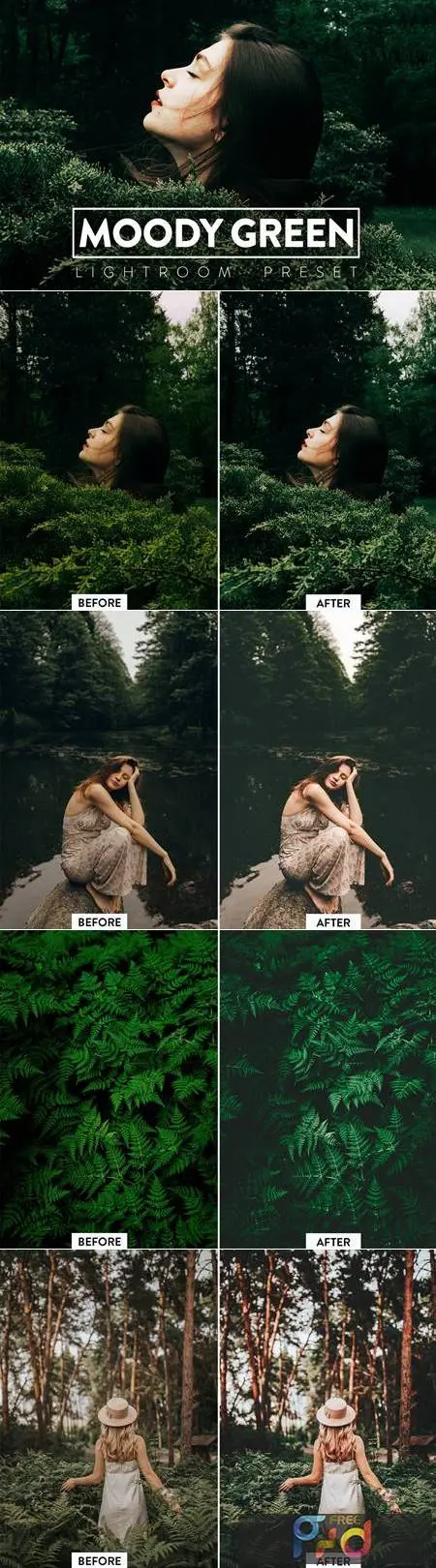 10 Moody Green Lightroom Presets 6YW9RS8 1