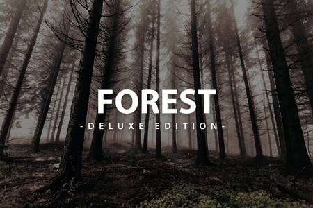 Freepsdvn.com 2103488 Preset Forest Deluxe Edition For Mobile And Desktop Ha37brb Cover