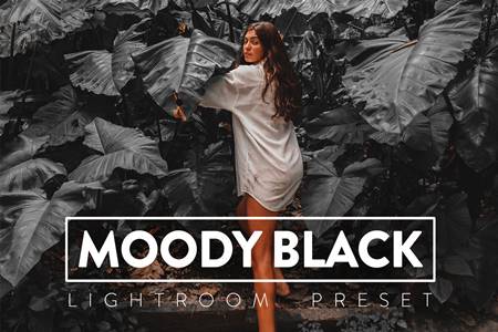 FreePsdVn.com 2103495 PRESET 10 moody black lightroom presets ffvrkzm cover