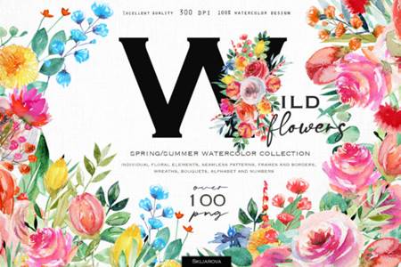 FreePsdVn.com 2104522 STOCK wild flowers watercolor collection 9903310 cover