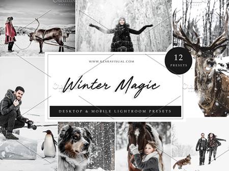 Freepsdvn.com 2106295 Preset 12 X Lightroom Presets Winter Magic 5962774 Cover