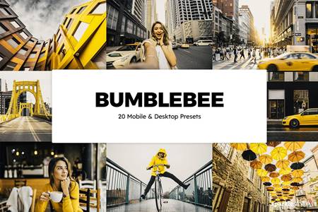 FreePsdVn.com 2106296 PRESET 20 bumblebee lightroom presets luts 6179674 cover