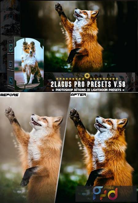 PRO Presets   V 58   Photoshop & Lightroom